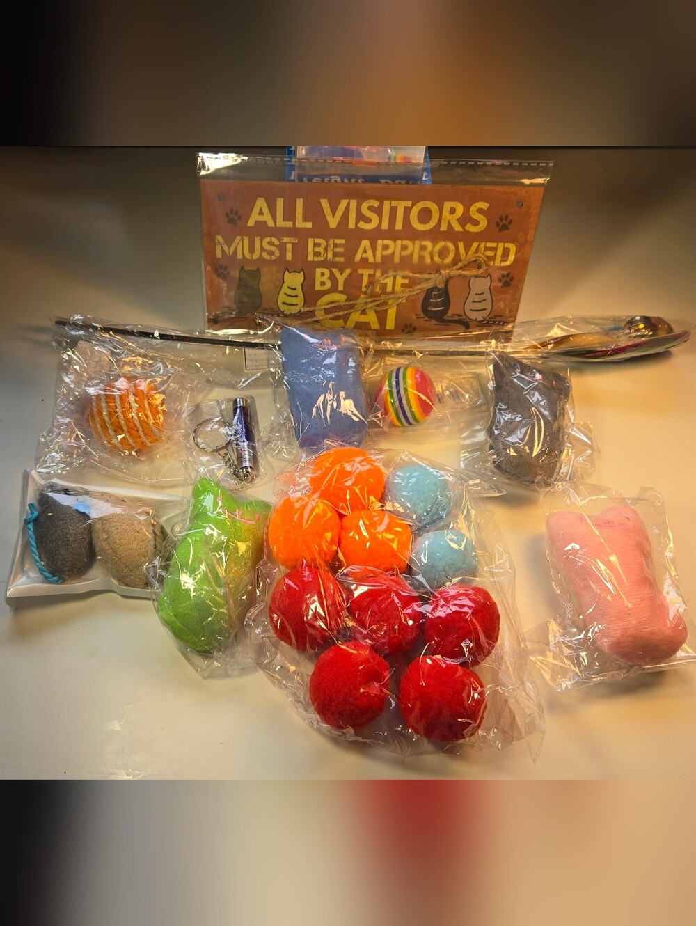 'All Visitors Must Be Approved By the Cat' Sign and Cat Toy Bundle